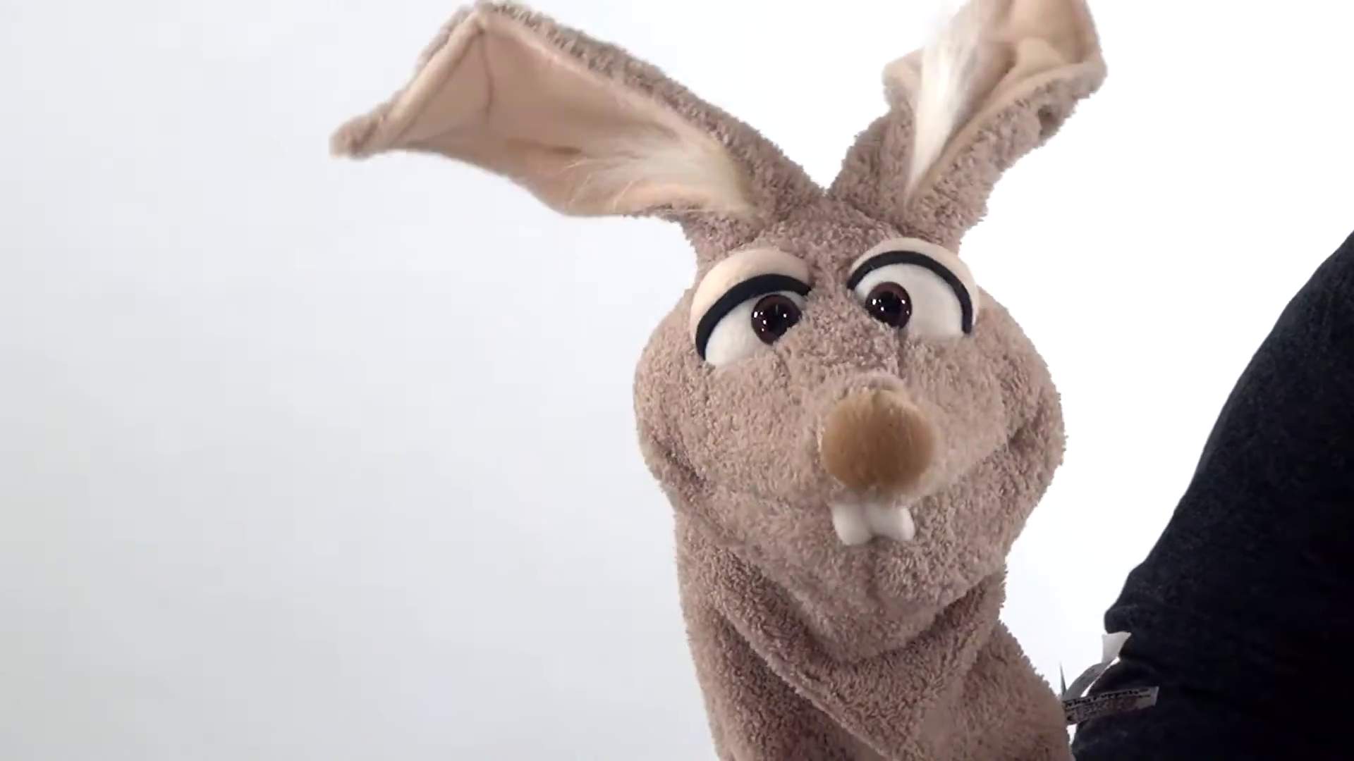 Video 2: Living Puppets sock hand puppet Mampfred the bunny