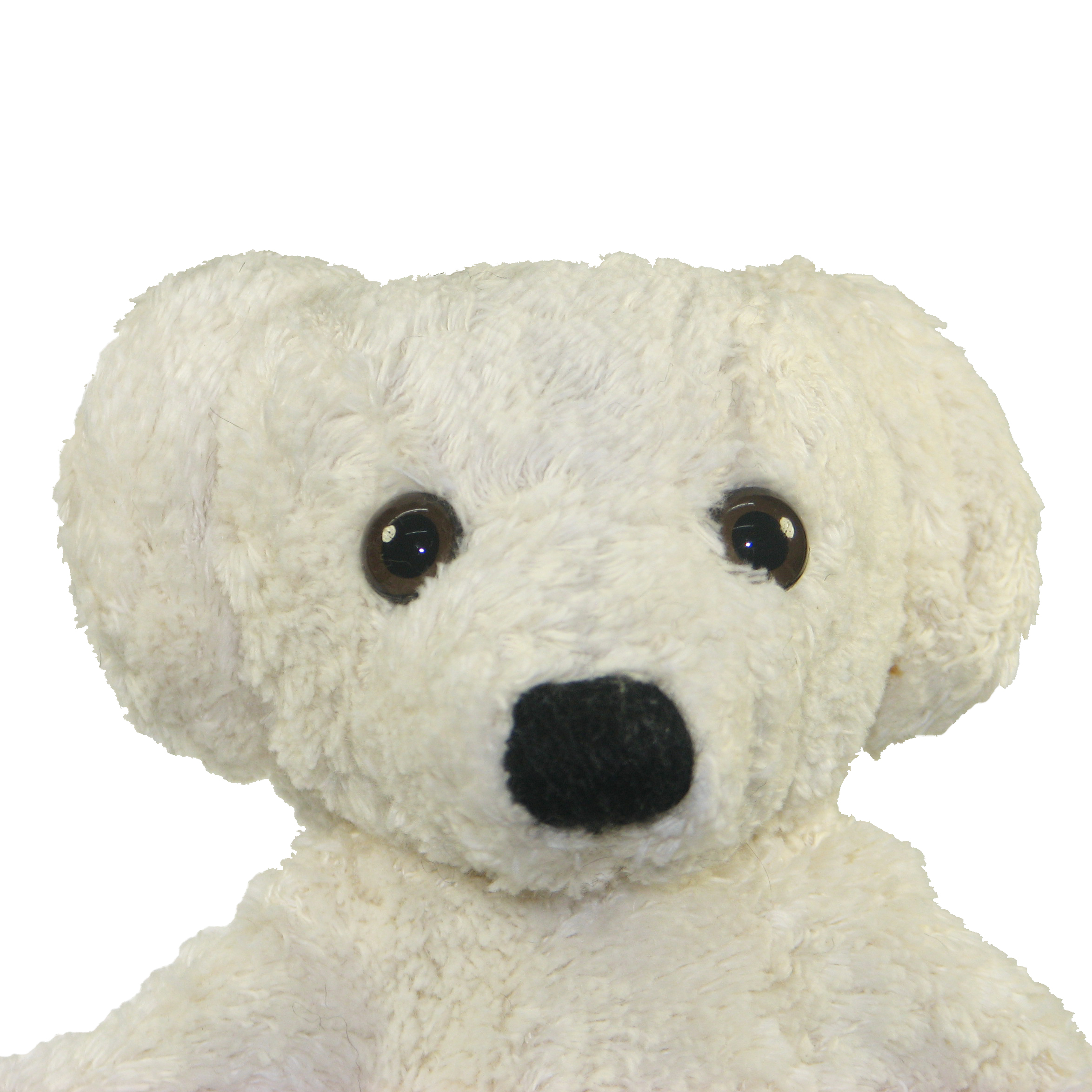 Kallisto Handpuppe Bär weiß, Gesichtsnahaufnahme mit schwarzer Nase und cremeweißem Fell