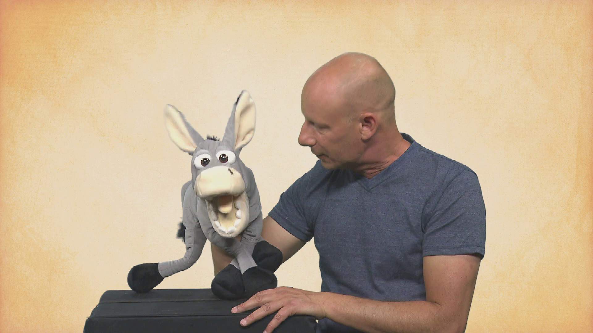 Video 1: Living Puppets hand puppet Fridulin the donkey