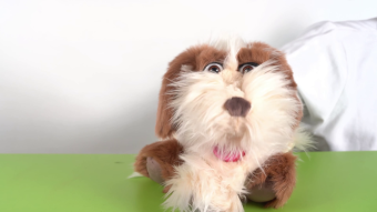 Living Puppets Handpuppe Tillmann der Hund Demo