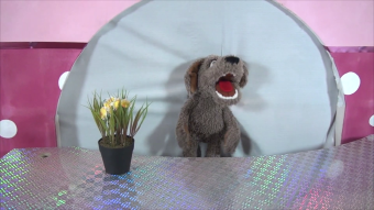 Living Puppets hand puppet Locke the small dog Demo