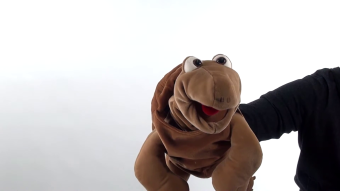 Living Puppets Handpuppe Sammy die Schildkröte Demo 2
